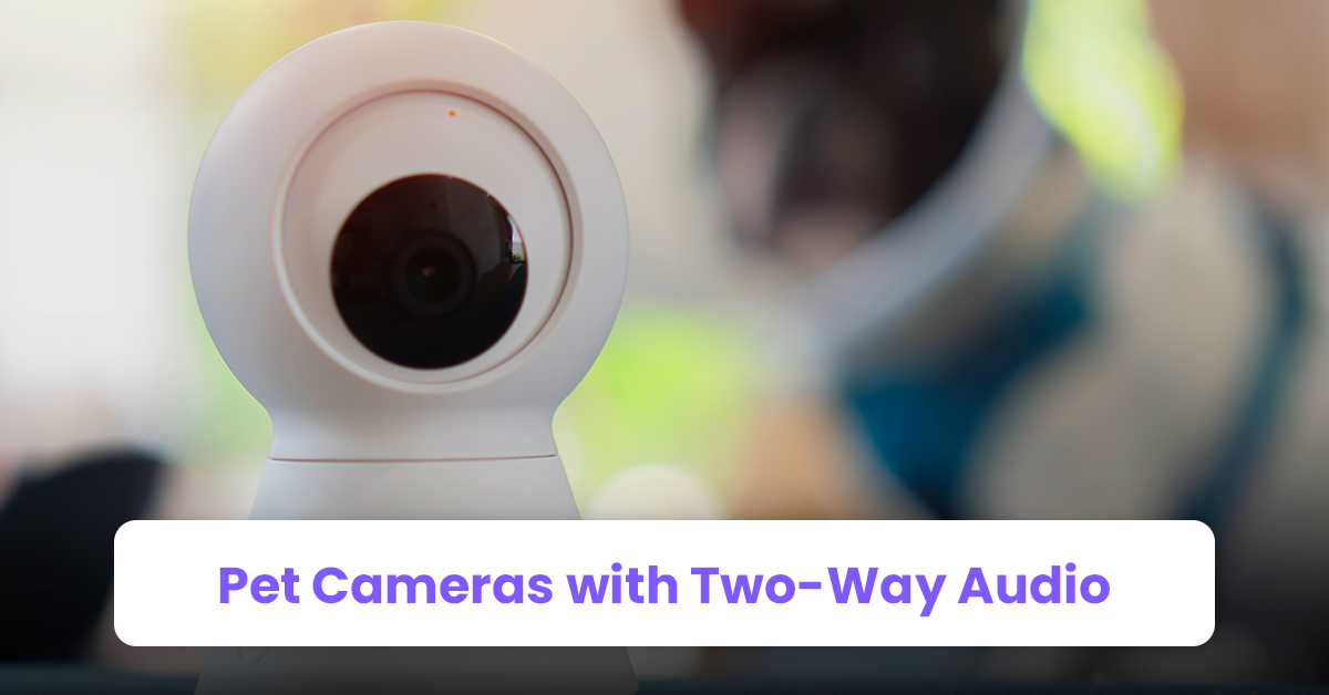 2. Pet Cameras with Two-Way Audio
