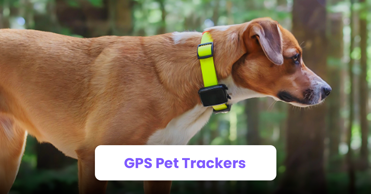 6. GPS Pet Trackers