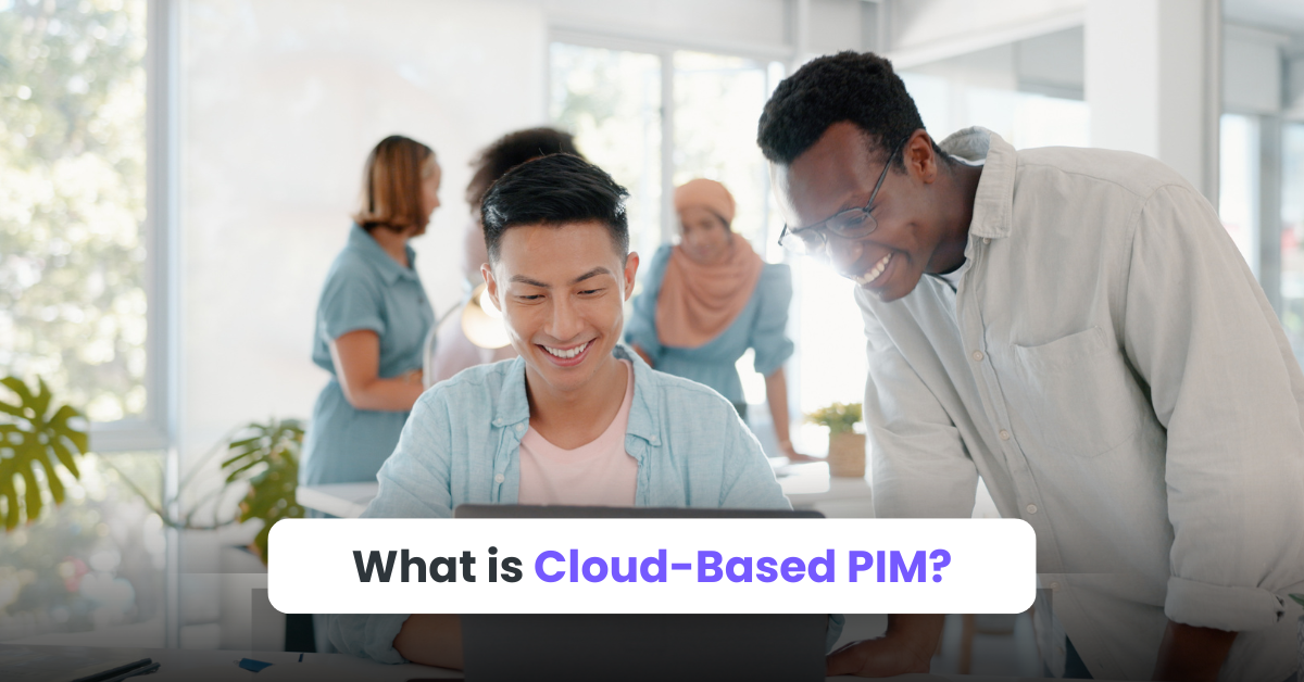 What is Cloud-Based PIM?