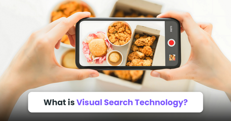 what is visual search technology