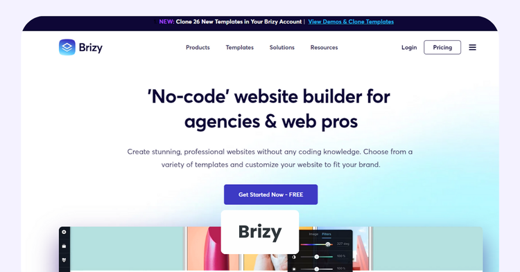 Brizy