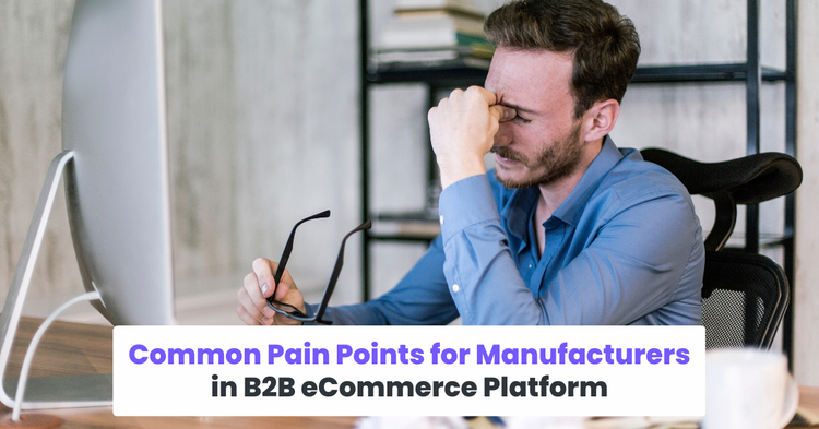 Common Pain Points for Manufacturers in B2B eCommerce Platform