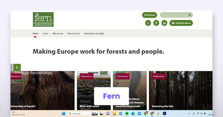 Website 1: Fern