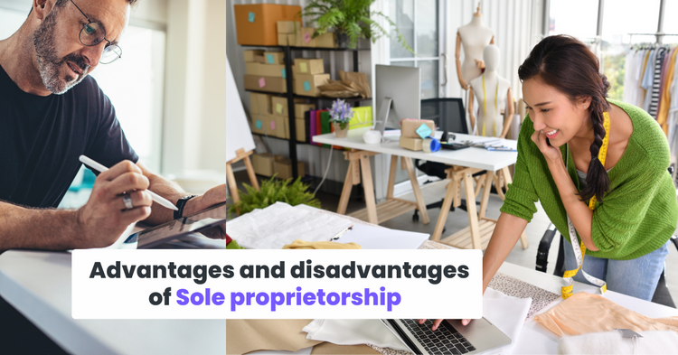 Sole Proprietorship vs LLC for Online Business