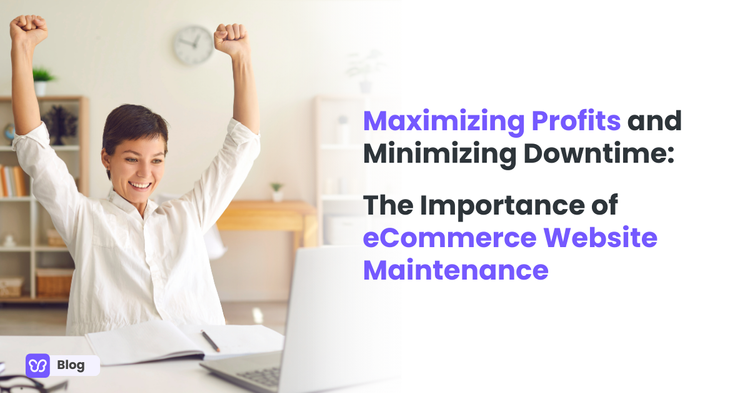 Maximizing Profits and Minimizing Downtime: The Importance of eCommerce Website Maintenance