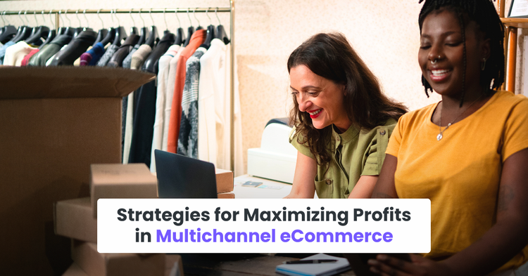 Strategies for Maximizing Profits in Multichannel eCommerce