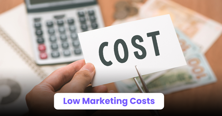 Reason 2: Low Marketing Costs