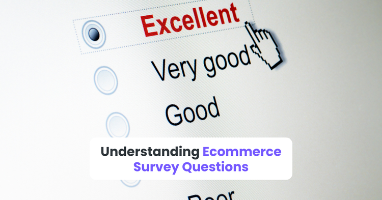 Understanding Ecommerce Survey Questions