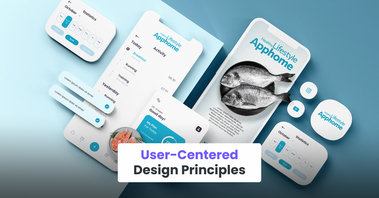 User-Centered Design Principles
