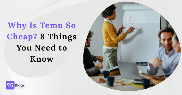 Why Is Temu So Cheap? 8 Things You Need to Know